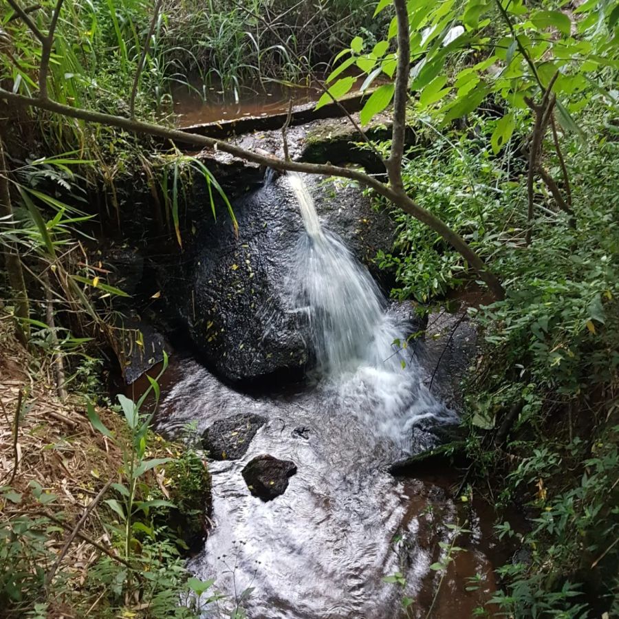 S�tio - Venda - Bairro dos Lima - Pedra Bela - SP